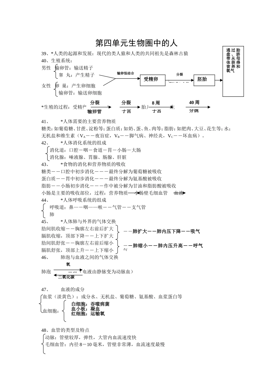 初中七年级生物第四单元生物圈中的人_第1页