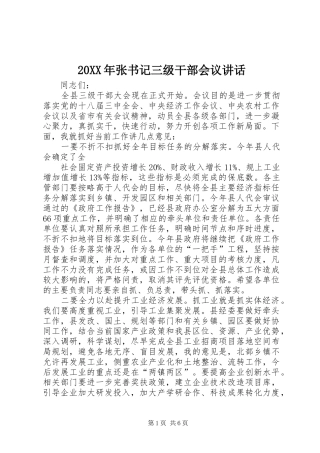 20XX年张书记三级干部会议讲话发言(3)