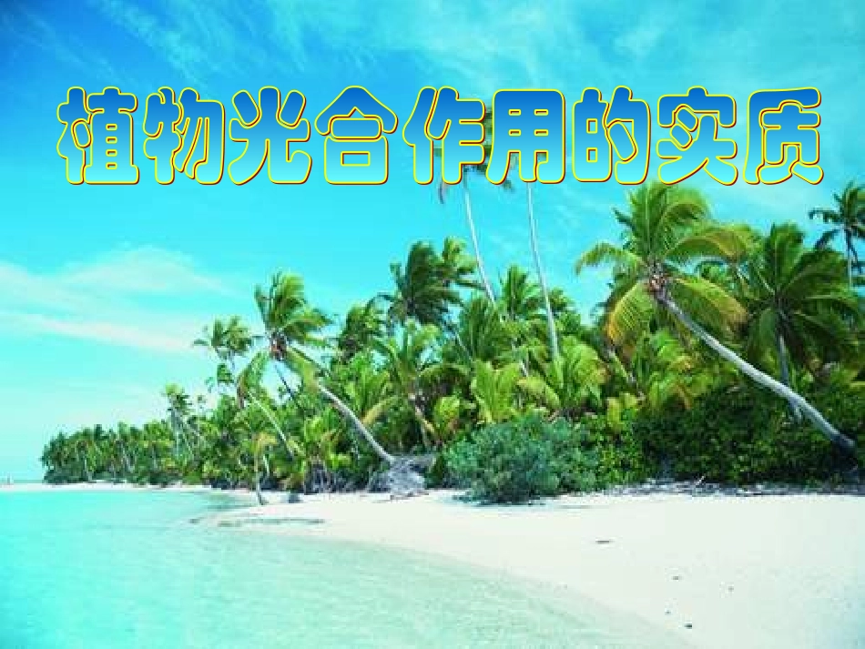 生物：苏教版七上第六章第三节+植物光合作用的实质（共11张PPT）_第1页