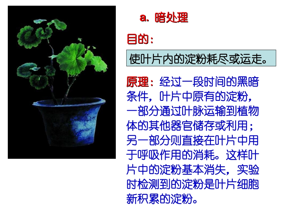生物：苏教版七上第六章第三节+植物光合作用的实质（共11张PPT）_第3页