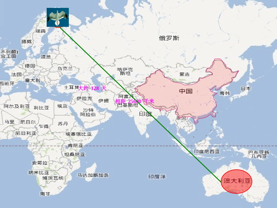 正比例函数及性质_第2页