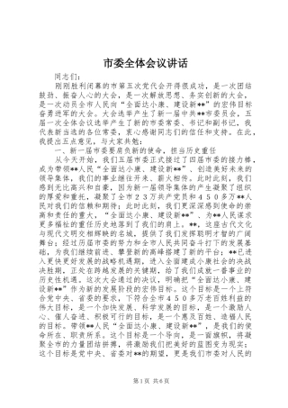 市委全体会议讲话发言