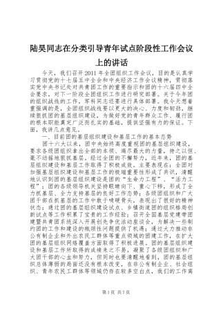 陆昊同志在分类引导青年试点阶段性工作会议上的讲话发言