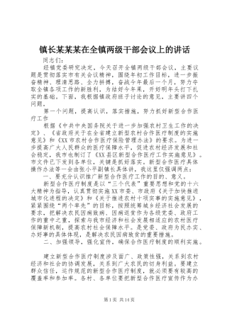 镇长某某某在全镇两级干部会议上的讲话发言