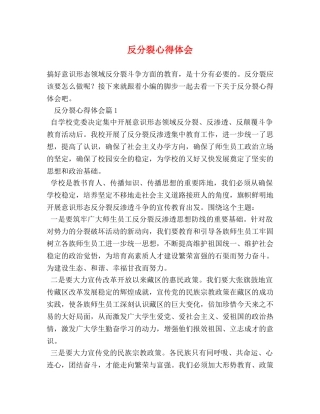 反分裂心得体会 