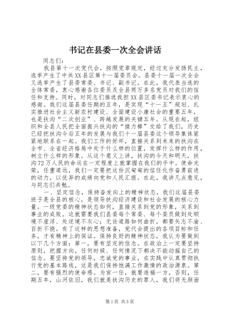 书记在县委一次全会讲话发言