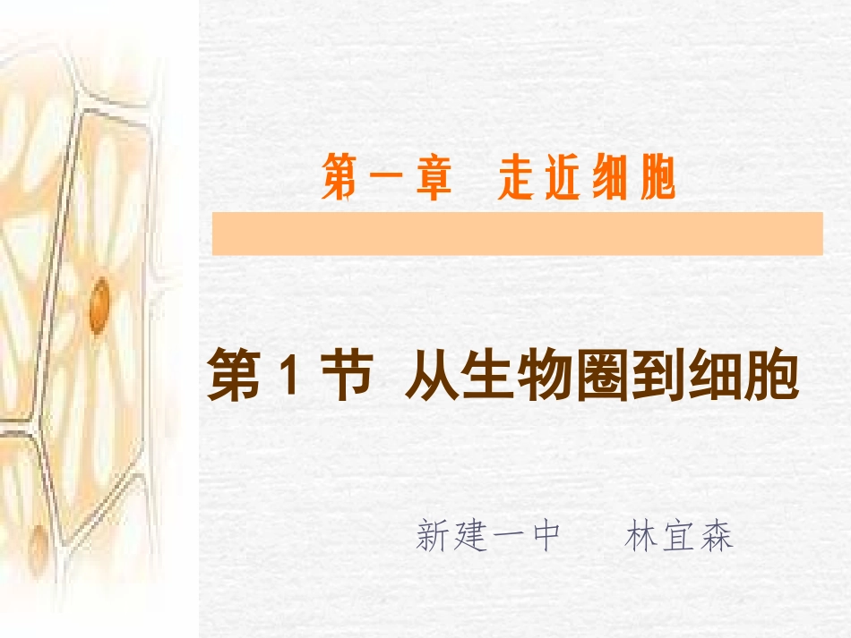 从生物圈到细胞(新)_第1页