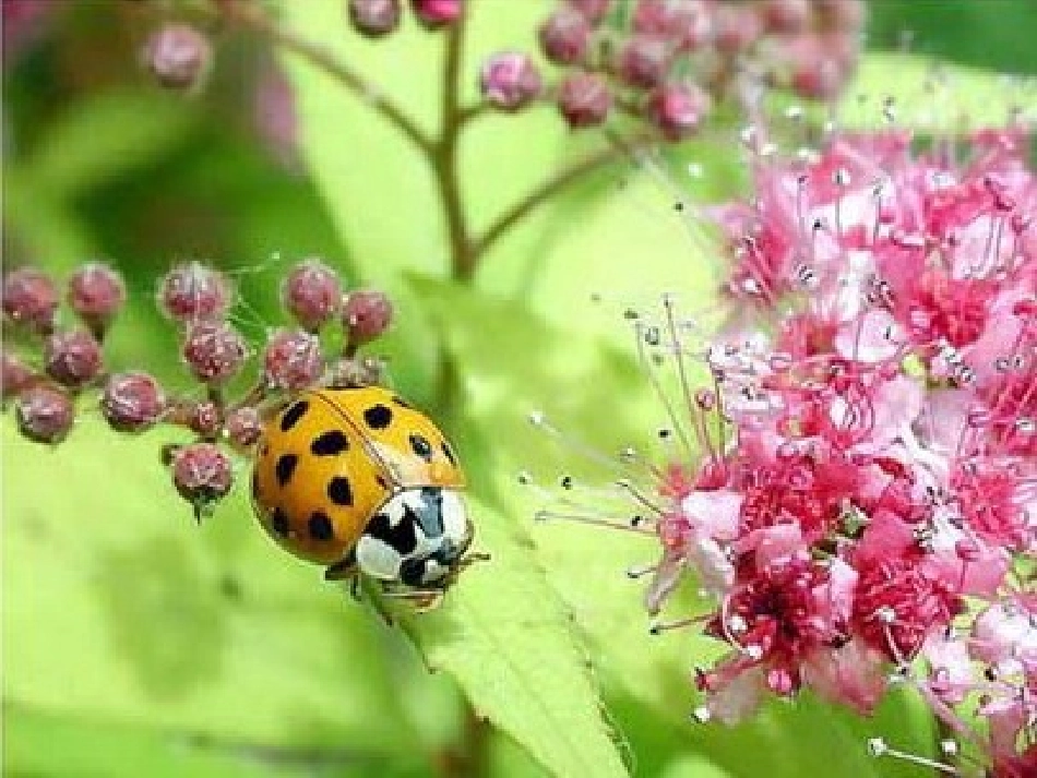 世界因生命而精彩 (2)_第3页