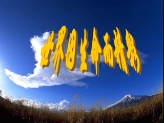 世界因生命而精彩 (2)