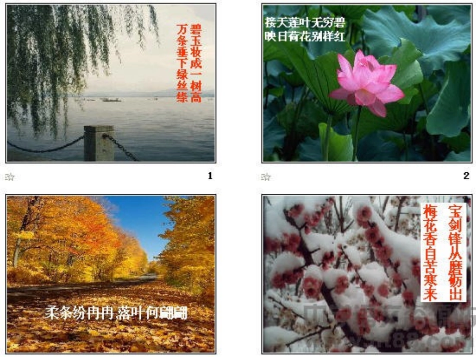 大自然的语言 (4)_第3页