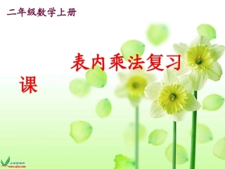 人教新课标数学二年级上册《表内乘法》