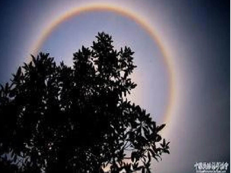 圆的初步认识_第2页