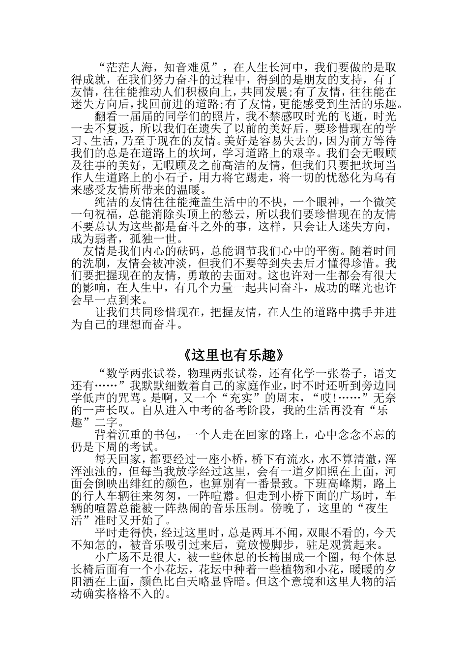 中考满分作文_第2页