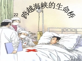 跨越海峡的生命桥第一课时