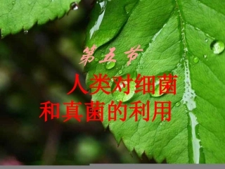 人类对细菌和真菌的利用