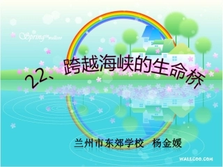 跨越海峡的生命桥 