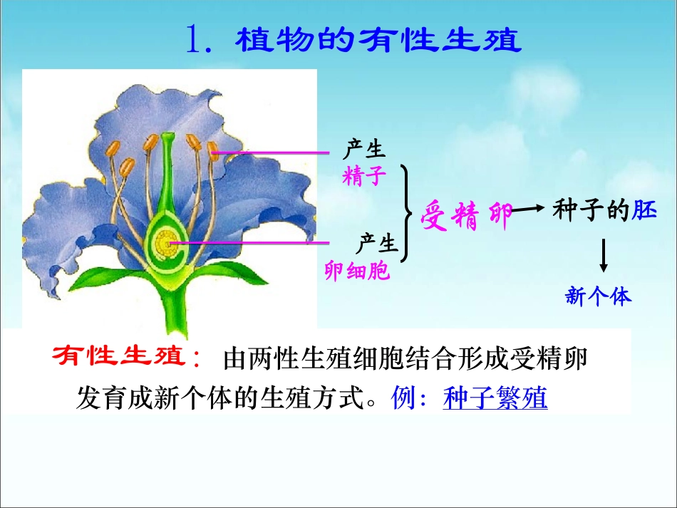 邱昭文生物的生殖和发育_第2页