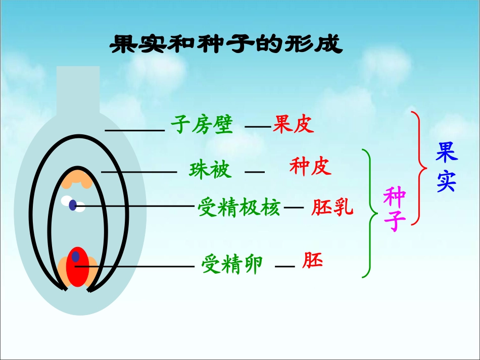 邱昭文生物的生殖和发育_第3页