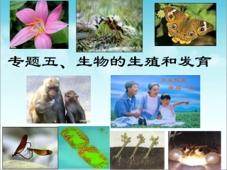 邱昭文生物的生殖和发育