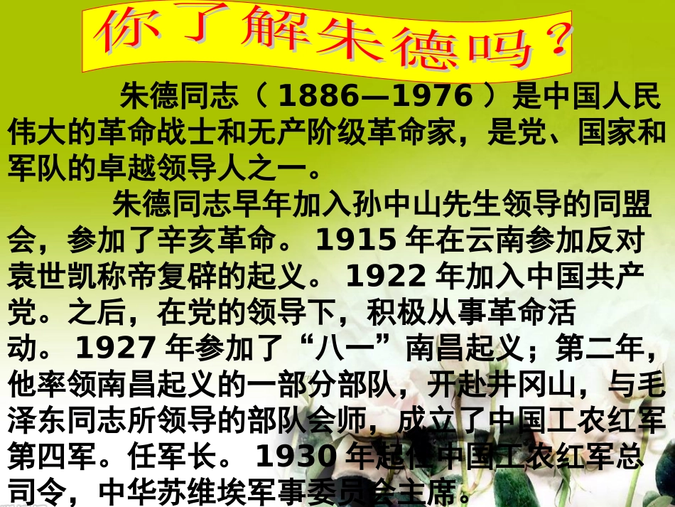 回忆我的母亲_第2页