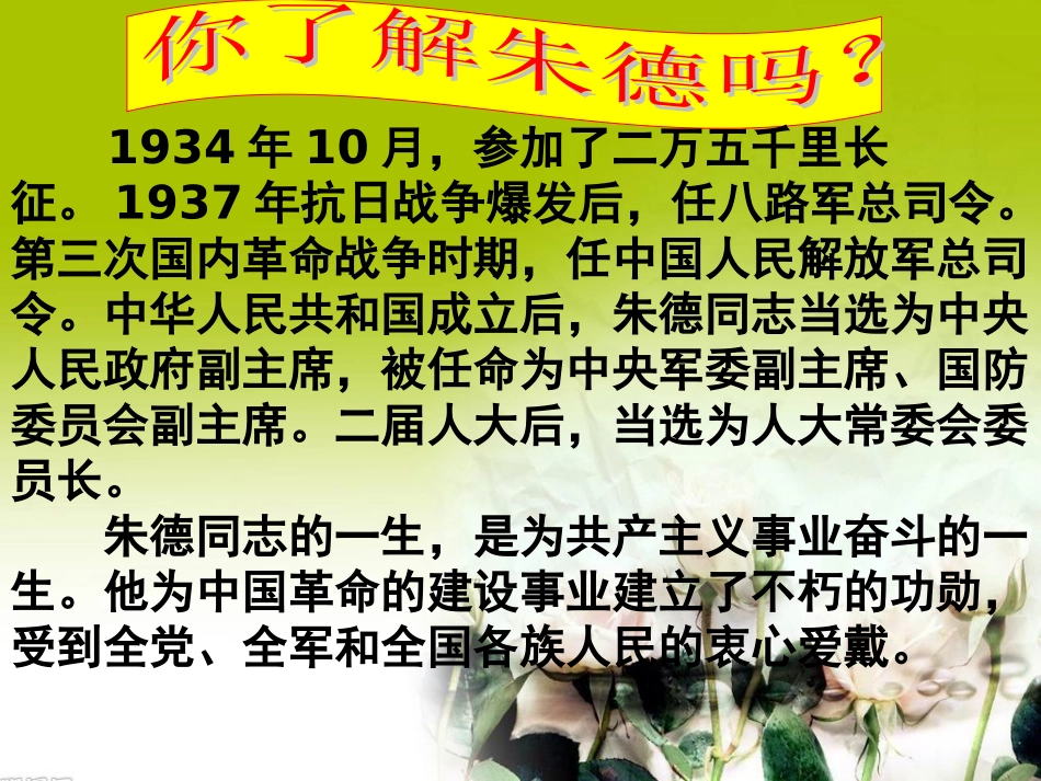 回忆我的母亲_第3页