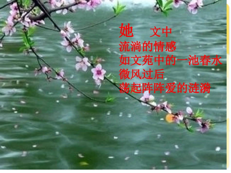 《荷叶母亲》_第3页