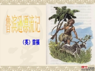鲁滨逊漂流记