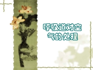 呼吸道对空气的处理