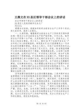 王燕文在XX县区领导干部会议上的讲话发言