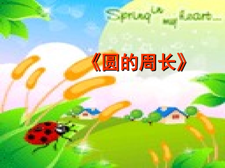 圆的周长 (4)_第1页