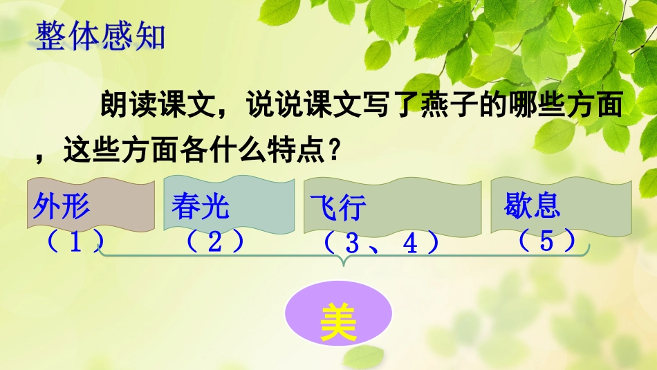 燕子第二课时_第2页