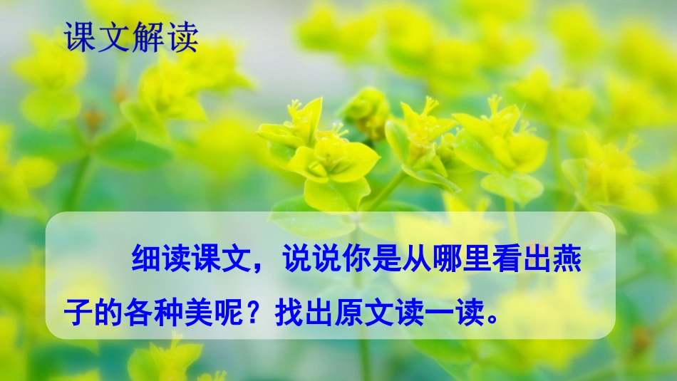 燕子第二课时_第3页