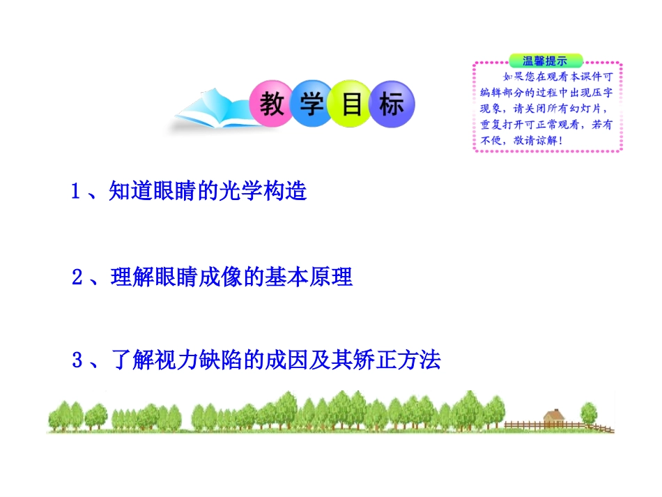 眼睛与光学仪器_第2页