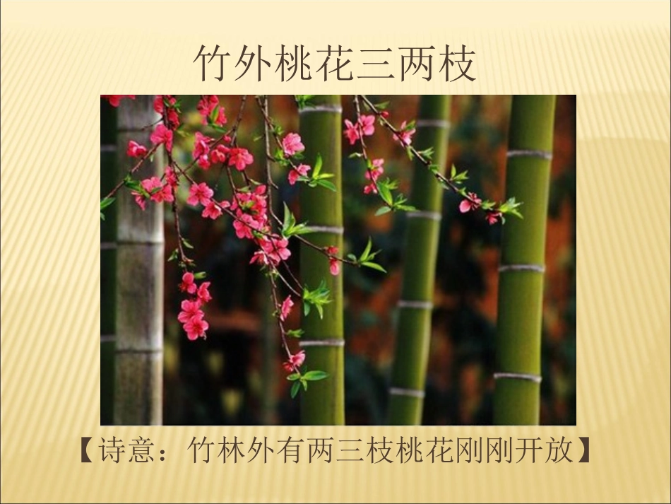 教学课件 (2)_第2页