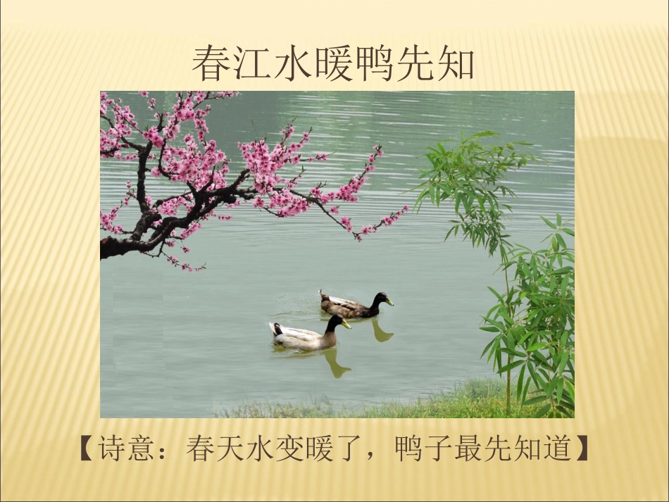 教学课件 (2)_第3页