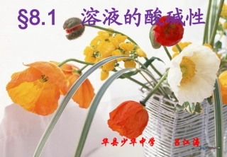 《溶液酸碱性》