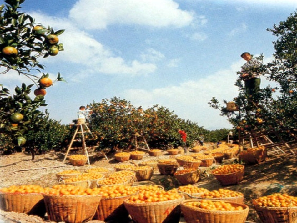 《秋天》模板_第3页