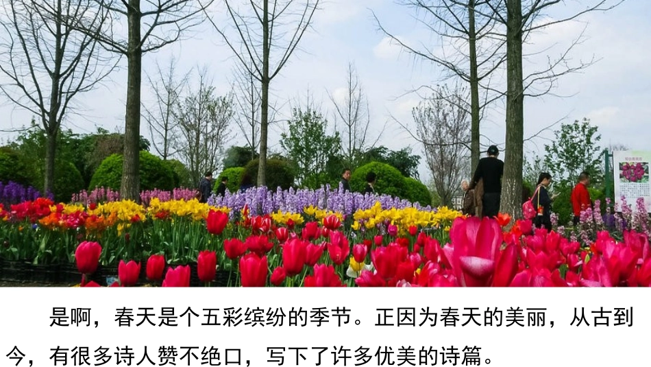《惠崇春江晓景》课件_第3页