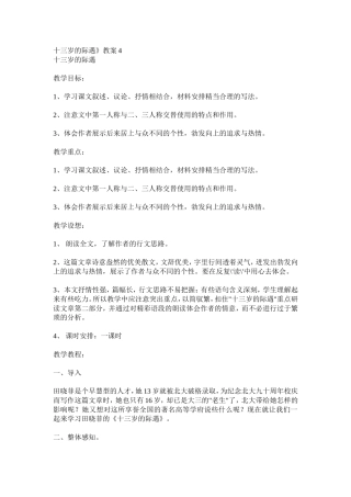 十三岁的际遇