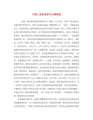 干部三支队伍学习心得体会 