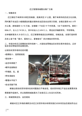 农贸市场整合推广方案设计