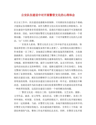 公安队伍建设中对开展警营文化的心得体会 