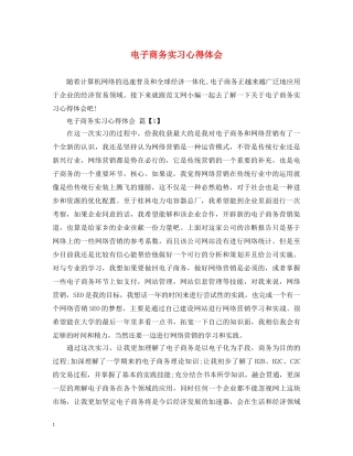 电子商务实习心得体会 
