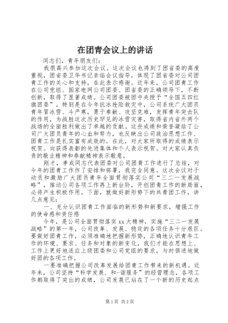 在团青会议上的讲话发言