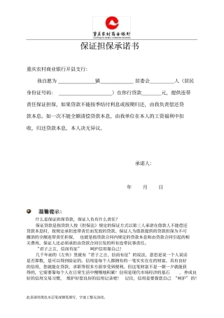 保证担保承诺书