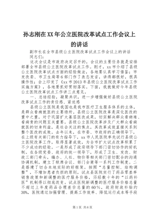 孙志刚在XX年公立医院改革试点工作会议上的讲话发言