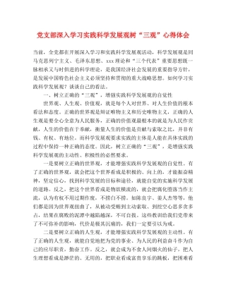 党支部深入学习实践科学发展观树“三观”心得体会 