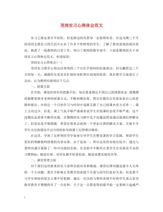 顶岗实习心得体会范文 (000002)