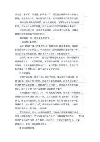 信鸽技能训练