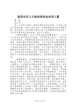 副县长在人大执法表态会讲话2篇